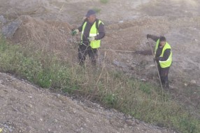 Zapušteno zelenilo na i oko Majšanskog mosta