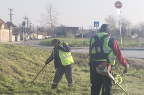 Zapušteno zelenilo na i oko Majšanskog mosta