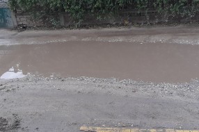 Udarne rupe u Daruvarskoj ulici