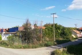 Prašuma u ulici Antuna Mihanovića