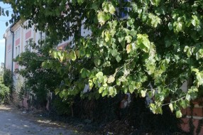 Parking pored Minerve potrebno urediti
