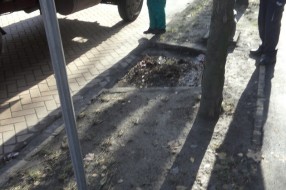 Zatrpavanje odvoda za atmosferske vode (Ulica Braće Radića)