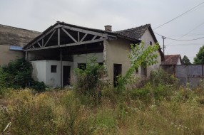 Bivša škola Matko Vuković danas je ruševna, ruglo i potencijalno leglo zaraze