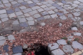 Udarna rupa u Harambašićevoj ulici