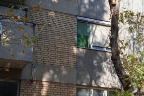 Suva grana na ulazu u zgradu u Pazinskoj ulici