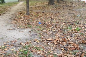 Neuredne zelene površine na Prozivci