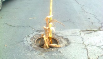 Krađa šahti (Braće Radić i Pazinska)