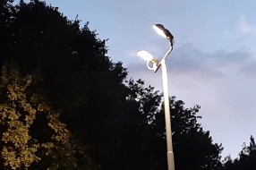 Skraćivanje grana iznad košarkaškog terena u Dudovoj šumi