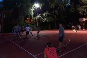 Skraćivanje grana iznad košarkaškog terena u Dudovoj šumi