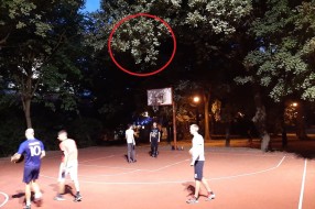 Skraćivanje grana iznad košarkaškog terena u Dudovoj šumi