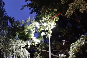 Skraćivanje grana iznad košarkaškog terena u Dudovoj šumi