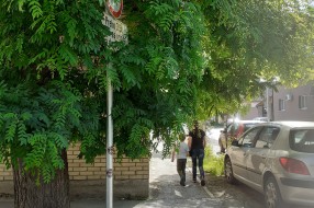 Orezati krošnju na uglu Braće Majer i Tolstojeve