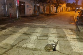 Udarna rupa na raskrsnici Frankopanske i Đerđa Dože