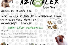 Azil Alex u Subotici, mesto gde svako od nas može izabrati jednog ljubimca!