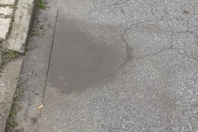 Udarne rupe u ulici Jenea Kalmara