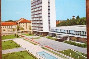Neplanska sadnja oko Nove opštine