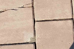 Oštećene nove kocke u velikom delu groblja Dudova šuma