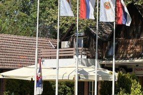 Sraman odnos prema zastavi (Palić, međunarodni put)