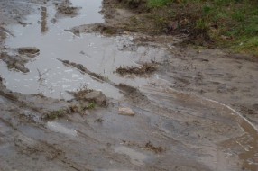 Ovako izgleda ulica kada Direkcija za izgradnju Grada  uređuje ulicu