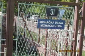 Psi lutalice u Mohačkoj ulici