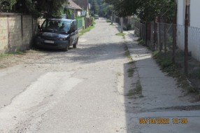Psi lutalice u Mohačkoj ulici
