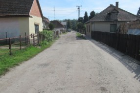 Psi lutalice u Mohačkoj ulici