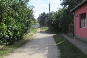 Psi lutalice u Mohačkoj ulici