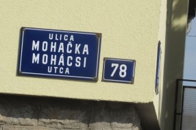 Psi lutalice u Mohačkoj ulici