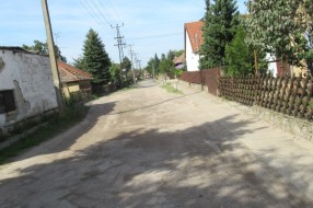 Psi lutalice u Mohačkoj ulici