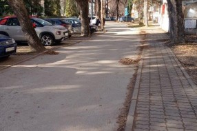 Ulica Ivana Gorana Kovačića blatnjava od lišća
