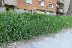 Dočekasmo 1. maj u preriji
