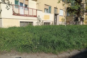 Dočekasmo 1. maj u preriji