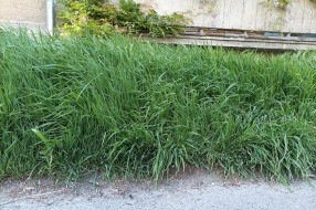 Dočekasmo 1. maj u preriji