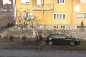 Presuda brezi u ulici Koste Abraševića