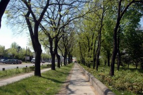 "Neprijatna situacija" u parku, Komunalna ne reaguje