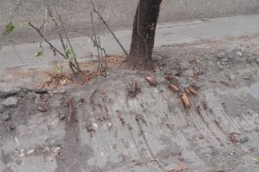Čemu služi iskopani jarak u ulici Hanibala Lučića?