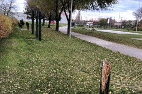 Da li će teretana na otvorenom u parku na Prozivci biti obnovljena?