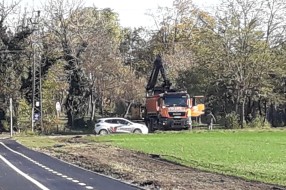 Uništavanje drveća (Mali Bajmok)