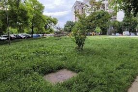 (Ne)Košenje trave u gradu