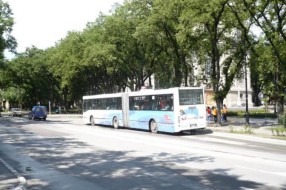 Red vožnje linije  6