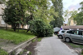 Oboreno drvo na trotoaru stoji već danima