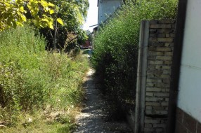 Prave džungle su lepe, ali subotička je ružna