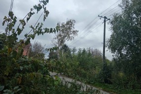 Bezbednost u Žabnjaku (Bajmok)
