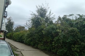 Bezbednost u Žabnjaku (Bajmok)