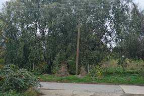 Bezbednost u Žabnjaku (Bajmok)