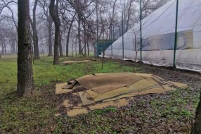 Prijava divlje deponije u parku Dudova šuma
