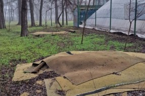 Prijava divlje deponije u parku Dudova šuma