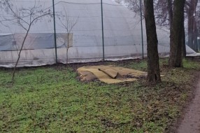 Prijava divlje deponije u parku Dudova šuma