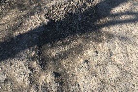 Rupe na obilaznom putu na Paliću