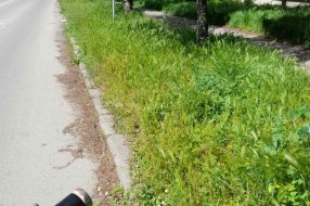 Zar ovako treba da izgleda centar grada (Košenje trave)
